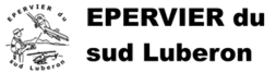 Epervier du sud Luberon